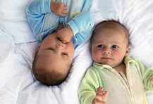 Logo della Gilda degli insegnati